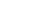 SUSPENSION